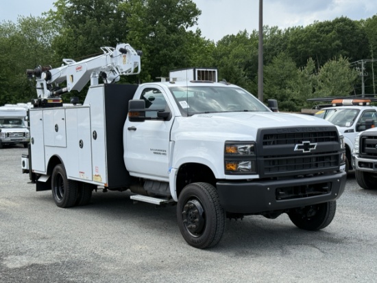 Picture of HY-10489